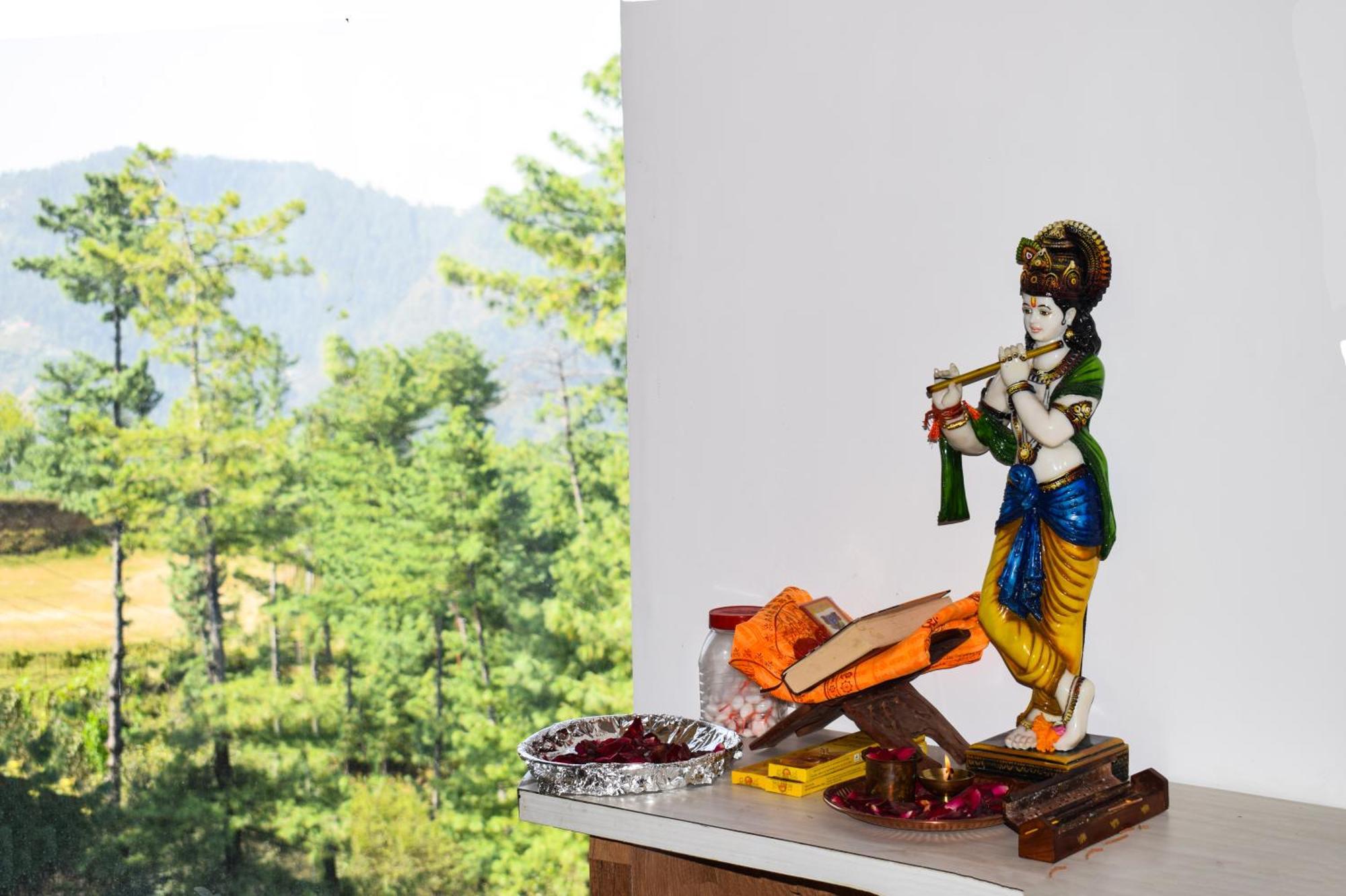 Royal Green Mashobra - Mountain And Valley View Rooms Shimla Extérieur photo