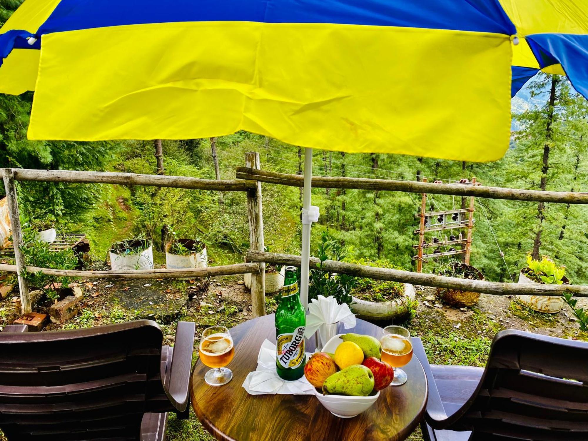 Royal Green Mashobra - Mountain And Valley View Rooms Shimla Extérieur photo